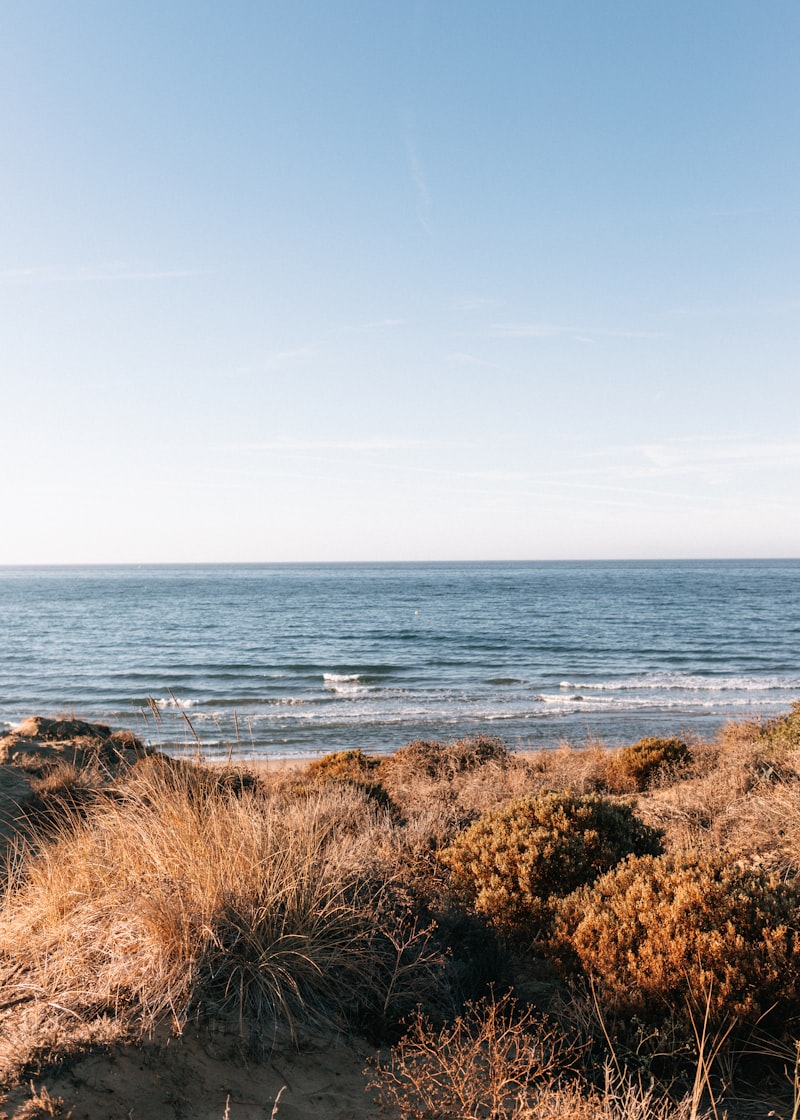 A view of the ocean from a sandy beach